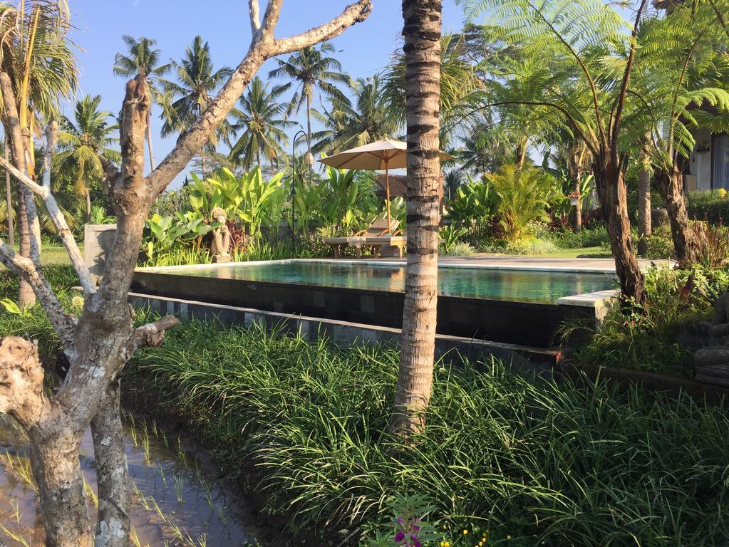 The Suris Ubud Екстер'єр фото