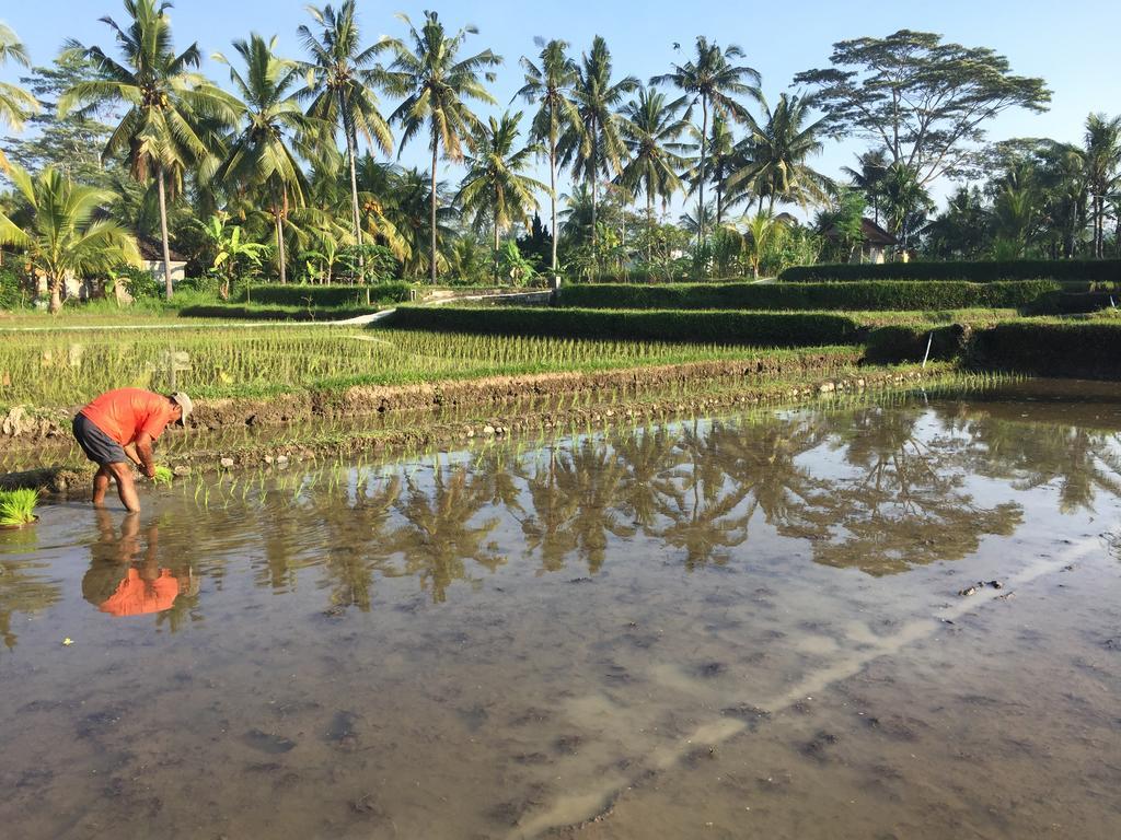 The Suris Ubud Екстер'єр фото