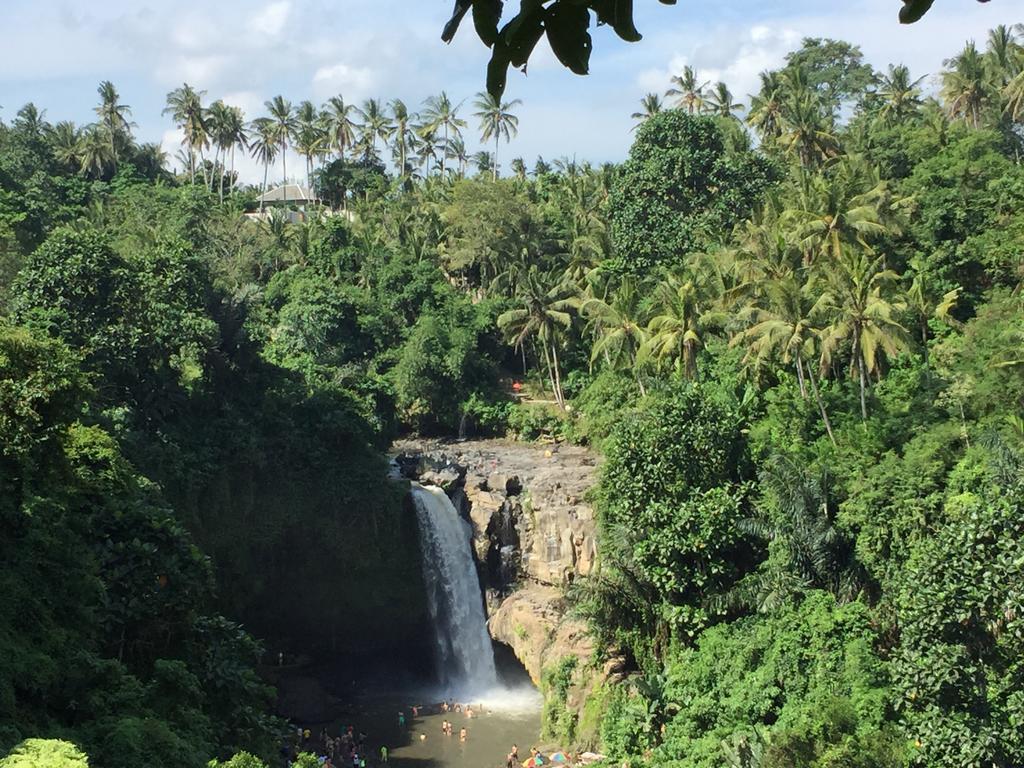 The Suris Ubud Екстер'єр фото