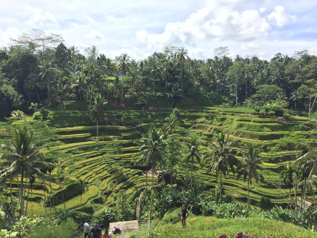 The Suris Ubud Екстер'єр фото
