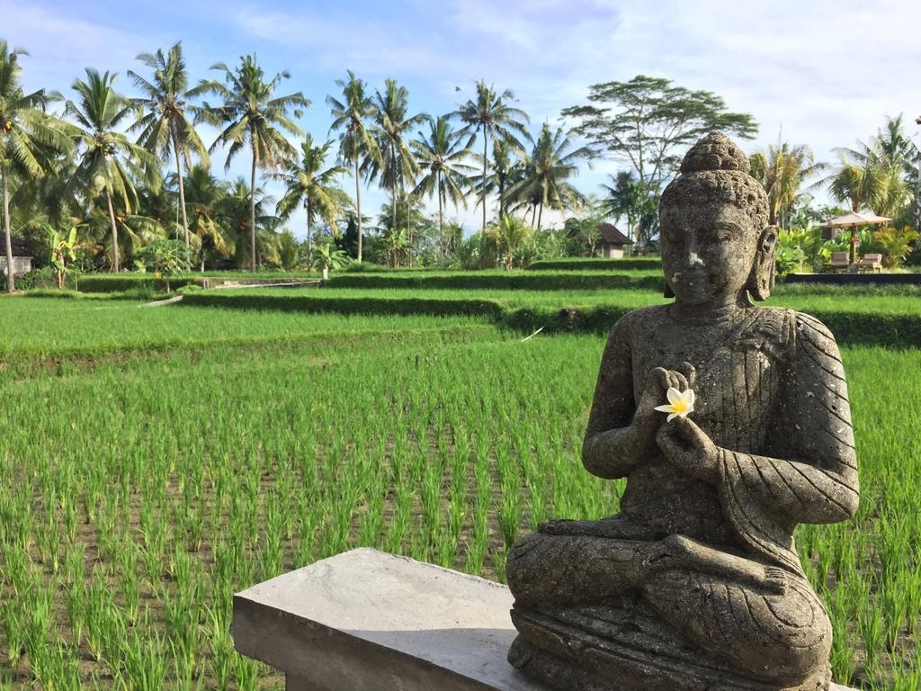 The Suris Ubud Екстер'єр фото